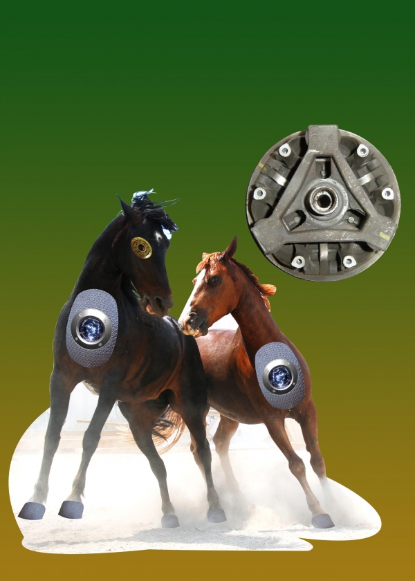 Creation of The Escape of War Horses: Step 10